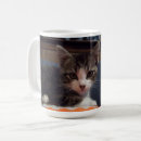 Search for alert mugs Cat