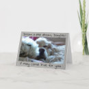 Search for true cards Photography