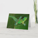 Search for madagascar cards Animal