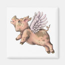 Search for pig fly magnets Piggy