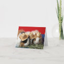 Search for pig stuff cards Cavies