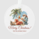 Search for santa on the beach christmas tree decorations Family