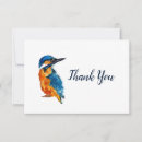 Search for kingfisher cards Wildlife