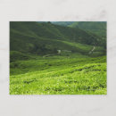 Search for rice terraces postcards Landscape