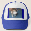 Search for cute rats hats Animals