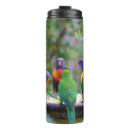 Search for rainbow lorikeet mugs Birds