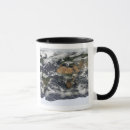 Search for satellite mugs Europe