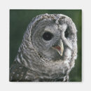 Search for strix magnets Usa
