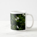 Search for jasmine flower mugs Nature