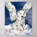 Search for dalmatian puppy posters Animal