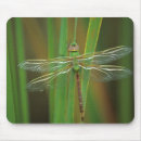 Search for nancy mousepads Superstock