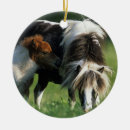 Search for miniature horse christmas tree decorations Bob langrish