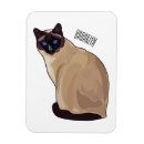 Search for siamese magnets Cat