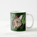 Search for green grass mugs Rabbit