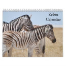 Search for zebra calendars 2026