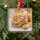 Search for kitten christmas tree decorations Paw