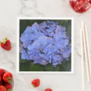 Search for hydrangea macrophylla Botanical