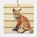 Search for red fox christmas tree decorations Mammal