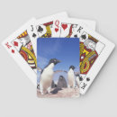 Search for penguin playing cards Fauna