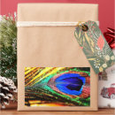 Search for colorful peacock stickers Nature