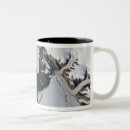 Search for greenland coffee mugs Photography
