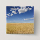 Search for cereal badges Wheat