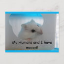 Search for hamster postcards Cute