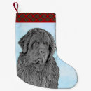 Search for newfoundland christmas stockings Puppy