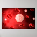 Search for immune posters Close up