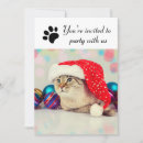 Search for funny cat christmas invitations Animal