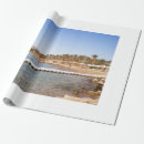 Search for sandy gift wrap Beach