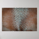 Search for crocodile posters Leather