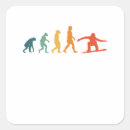 Search for snowboard evolution stickers Winter sports