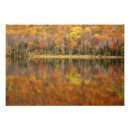 Search for fall in new england posters No people