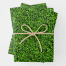 Search for bright wrapping paper Green