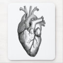 Search for anatomical electronics Nurse