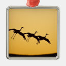 Search for land christmas tree decorations National