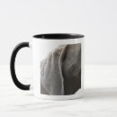 Search for weimaraner mugs Vertical