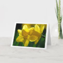 Search for whisper cards Flower