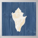 Search for vintage sea shells posters Blue