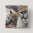 Search for puma badges Predator