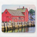Search for massachusettes mousepads Cape