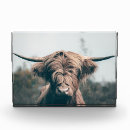 Search for scottish highland cow decor Portrait