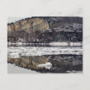 Search for float postcards Ice