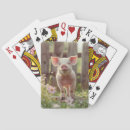 Search for pig playing cards Farm animal