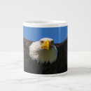 Search for bald eagles mugs Bird of prey