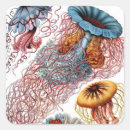 Search for marine biology stickers Jellyfish