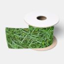 Search for lawn mowing crafts party Green