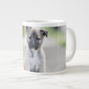 Search for shepherd mugs Baby