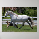 Search for andalusian horse art Spanish